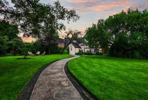 MG 9967 10 MG 9967 10